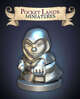 Pocket Lands Miniatures: Rogue