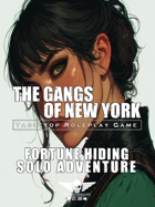 The Gangs Of New York - Solo Adventure - Fortune Hiding