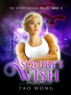 A Squire's Wish: Book 2 in the Hidden Wishes series