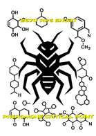 2670 RPG Short - Pheromone Critical Point