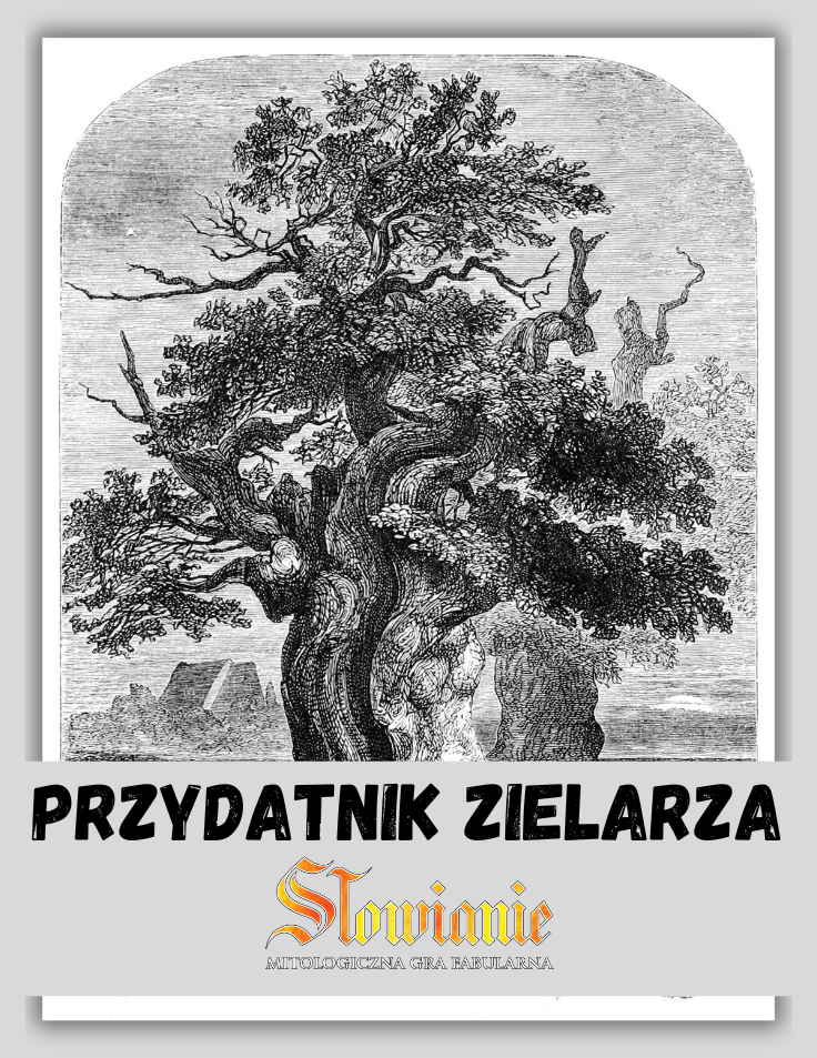 lowianie Przydatnik Zielarza Wydawnictwo Hengal DriveThruRPG lowianie-przydatnik-zielarza-wydawnictwo-hengal-drivethrurpg