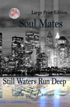 Soul Mates: Still Waters Run Deep (Large Print edition)