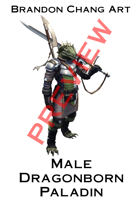 Fantasy Character Stock Art: Male Dragonborn Paladin