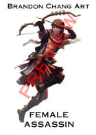 Fantasy Character Stock Art: Female Assassin