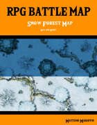 Fantasy RPG Battle Map - Snow Forest Battle Map Day and Night - Top Down Battle Map