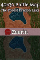 40x30 Fantasy Battle Map - The Forest Dragon Lake