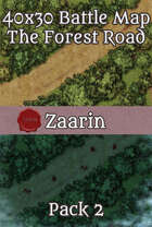 40x30 Fantasy Battle Map - The Forest Road Pack 2
