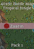 40x30 Fantasy Battle Map - Tropical Jungle Pack 1