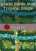 40x30 Fantasy Battle Map - Tropical Jungle Pack 2