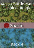40x30 Fantasy Battle Map - Tropical Jungle Pack 4