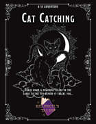 Cat Catching