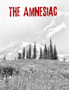The Amnesiac - A MotW Playbook