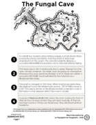 The Fungal Cave