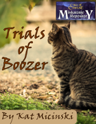 Trials of Boozer