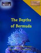 The Depths of Bermuda