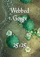 25x25 Battlemap - Webbed Gorge