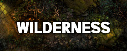 Wilderness