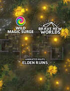Elden Ruins Animated