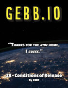 Gebb 28 – Conditions of Release
