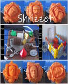 Shrizzet The Rule Set