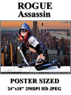 DunJon Poster JPG #136 (Rogue Assassin)