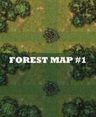 Forest Map #1