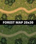 Forest Map 20x30