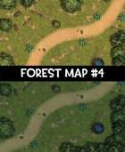 Forest Map #4