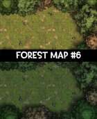 Forest Map #6
