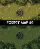 Forest Map #9