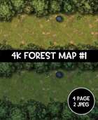 4k Forest Battle Map #1