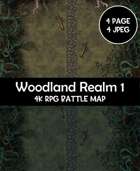 Woodland Realm Rpg Battle Map #1