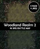 Woodland Realm Rpg Battle Map #2