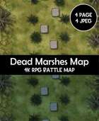 Dead Marshes Rpg Battle Map