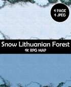 Snow Lithuanian Forest Rpg Map