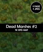 Dead Marshes Rpg Battle Map #2