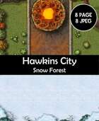 Hawkins city and snow forest map