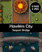 Hawkins city and seaport bridge map