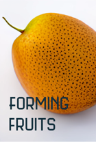 Forming Fruits
