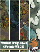 Woodland Bridge and Camp — 30x40 — 4 Variants