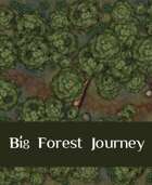 Big Forest Journey