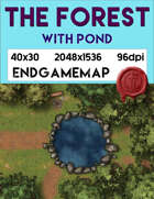 Forest with Pond