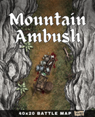 40x20 Battle Map - Mountain Ambush