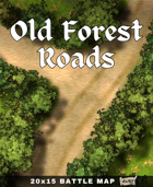 20x15 Battle Map - Old Forest Roads