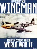 Fly Fight Win: Wingman