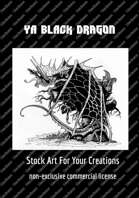 Young Adult Black Dragon Stock Art