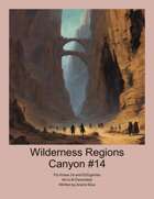 Wilderness Region Canyon #14