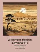 Wilderness Region Savanna #16