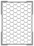 Single Subsector Hex Grid