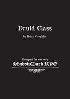 Druid Class